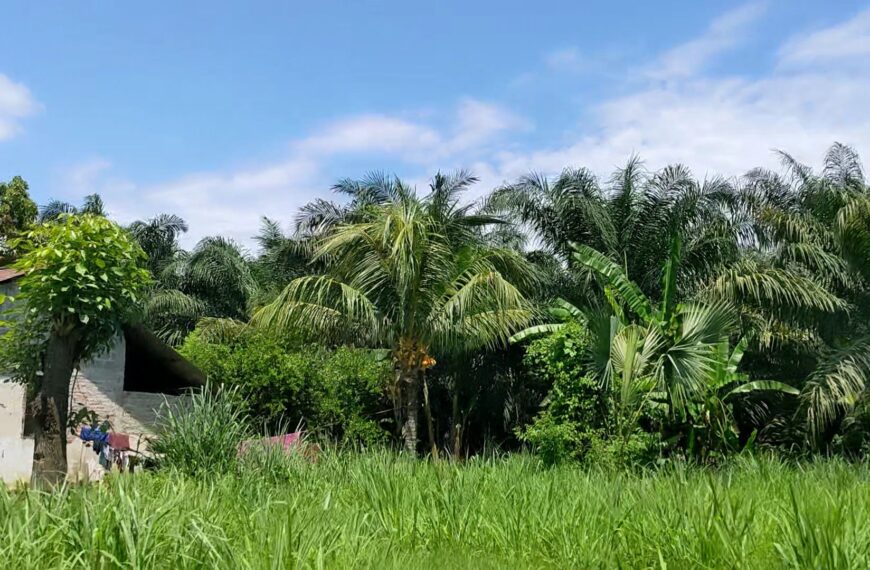 An Ode to Grocery Deliveries