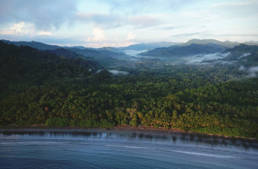 Dodging raindrops in the jungle