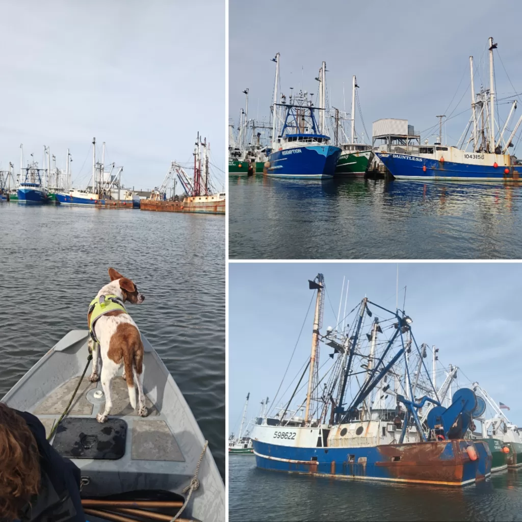 Collage depicting various fishing boats viewed from the water