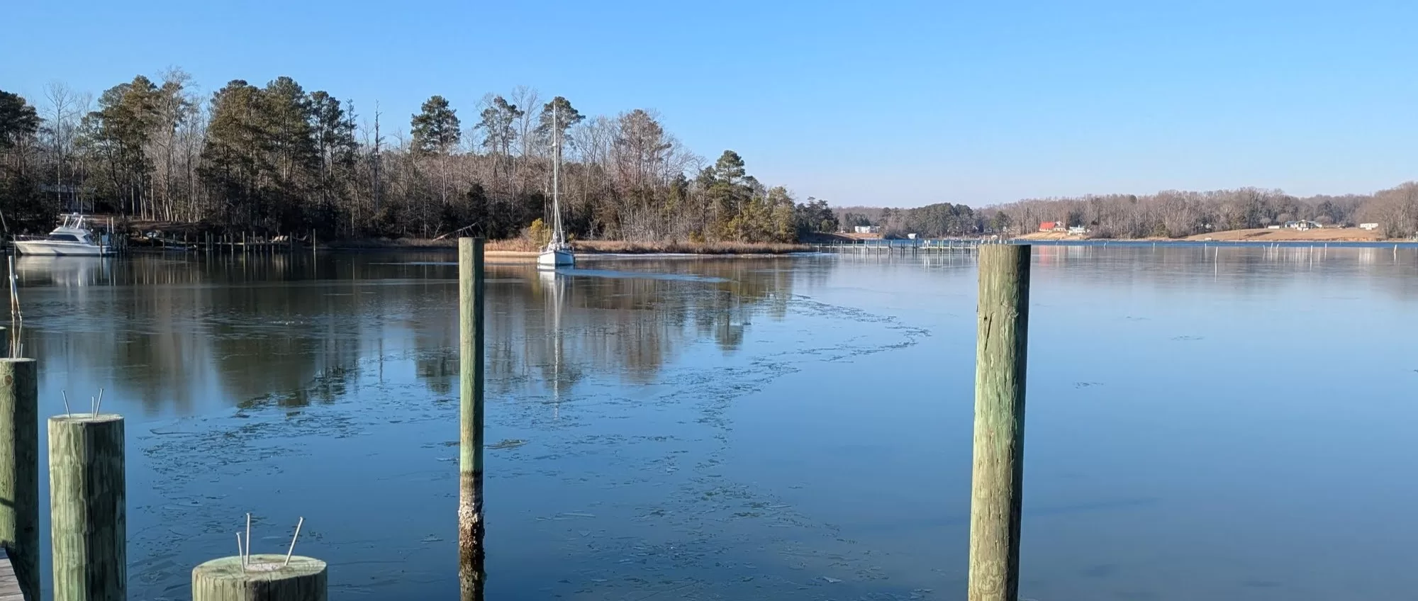 Rua Hatu iced in in a creek on the west shore of Chesapeake Bay